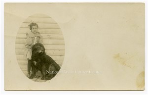 Image description is not available for PHO-264-998